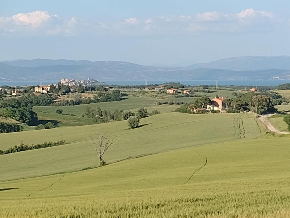 GioiellaCasa La Selvella别墅 外观 照片
